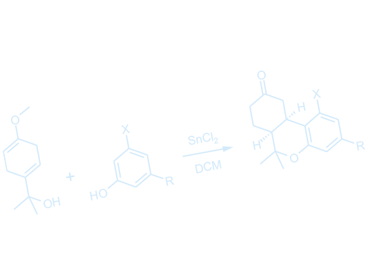 CPL Sachse Syntheseentwicklung