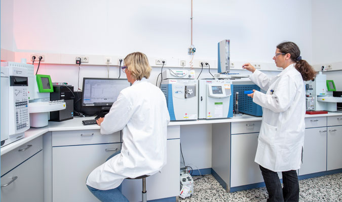 CPL Sachse Analytische Entwicklung