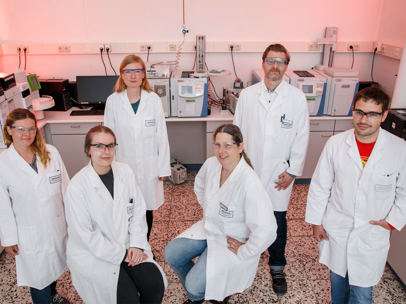Team Qualitätskontrolle